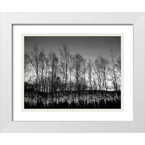 Watery Reflection White Modern Wood Framed Art Print with Double Matting by Henson, Martin