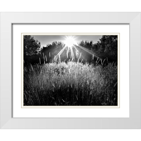 Reaching for the Sky White Modern Wood Framed Art Print with Double Matting by Henson, Martin