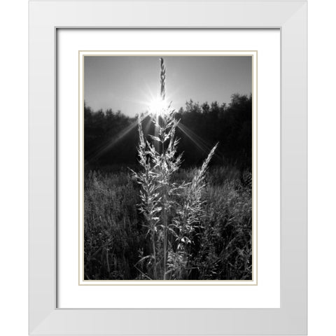 Magical Light White Modern Wood Framed Art Print with Double Matting by Henson, Martin