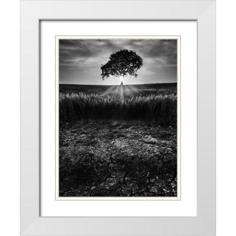 Cracked Earth White Modern Wood Framed Art Print with Double Matting by Henson, Martin