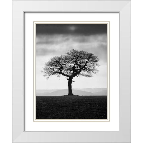 Without Leaves White Modern Wood Framed Art Print with Double Matting by Henson, Martin