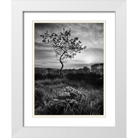 Curves White Modern Wood Framed Art Print with Double Matting by Henson, Martin