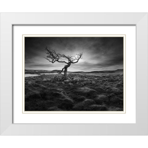 Lonesome White Modern Wood Framed Art Print with Double Matting by Henson, Martin