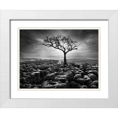 Grikes and Clints White Modern Wood Framed Art Print with Double Matting by Henson, Martin