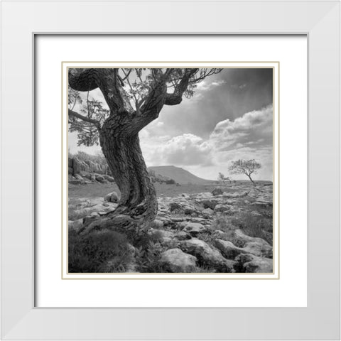 Outcrop II White Modern Wood Framed Art Print with Double Matting by Henson, Martin