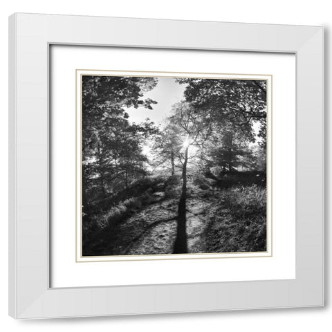 Woodland Tones I White Modern Wood Framed Art Print with Double Matting by Henson, Martin