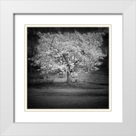 Woodland Tones II White Modern Wood Framed Art Print with Double Matting by Henson, Martin