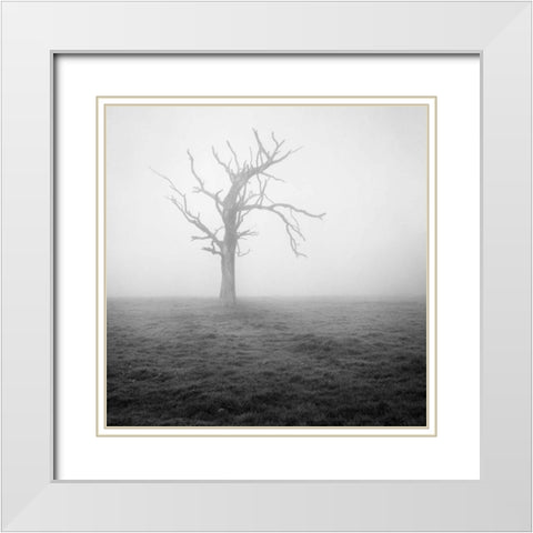 Misty Weather II White Modern Wood Framed Art Print with Double Matting by Henson, Martin