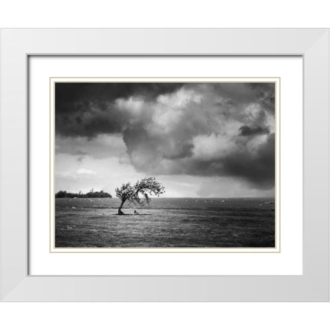 Misty Weather V White Modern Wood Framed Art Print with Double Matting by Henson, Martin