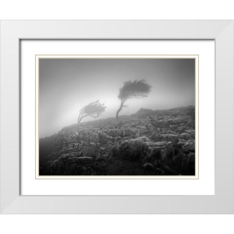 Misty Weather VI White Modern Wood Framed Art Print with Double Matting by Henson, Martin