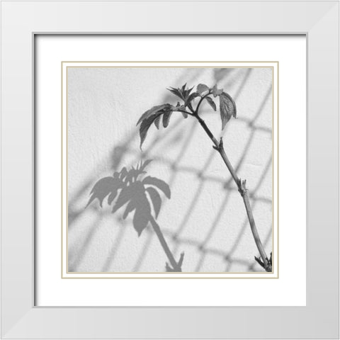 Around Town III White Modern Wood Framed Art Print with Double Matting by Henson, Martin