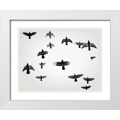 In the Skies I White Modern Wood Framed Art Print with Double Matting by Henson, Martin