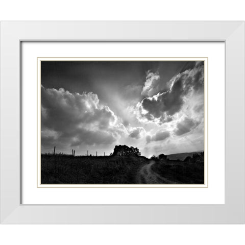 Lonely Path I White Modern Wood Framed Art Print with Double Matting by Henson, Martin