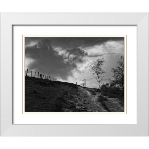 Lonely Path II White Modern Wood Framed Art Print with Double Matting by Henson, Martin
