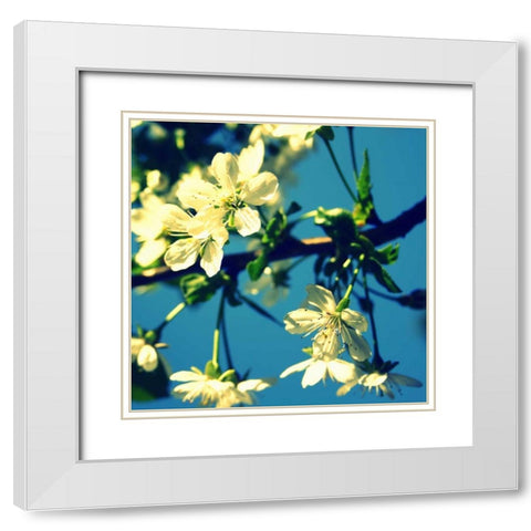 Summer Blossom II White Modern Wood Framed Art Print with Double Matting by Bell, Lillian