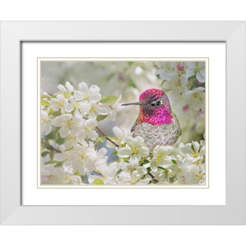 A Brilliant Peace I White Modern Wood Framed Art Print with Double Matting by Robertson, Leda