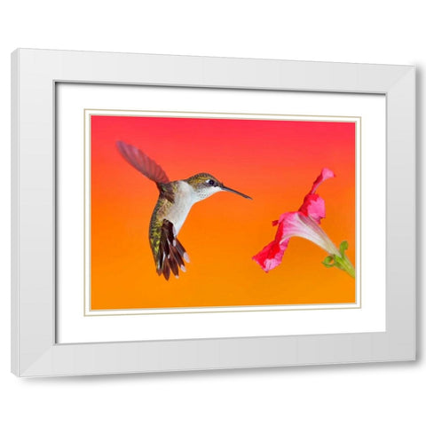 The Flower Dance I White Modern Wood Framed Art Print with Double Matting by Robertson, Leda