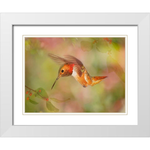 The Flower Dance III White Modern Wood Framed Art Print with Double Matting by Robertson, Leda