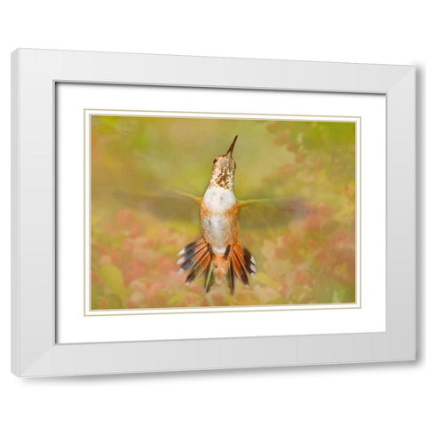 The Flower Dance IV White Modern Wood Framed Art Print with Double Matting by Robertson, Leda