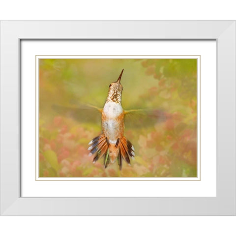 The Flower Dance IV White Modern Wood Framed Art Print with Double Matting by Robertson, Leda