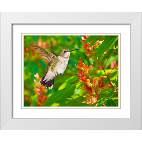 The Flower Dance VII White Modern Wood Framed Art Print with Double Matting by Robertson, Leda