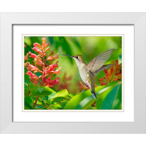 The Flower Dance VIII White Modern Wood Framed Art Print with Double Matting by Robertson, Leda