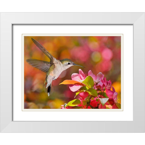 The Flower Dance IX White Modern Wood Framed Art Print with Double Matting by Robertson, Leda