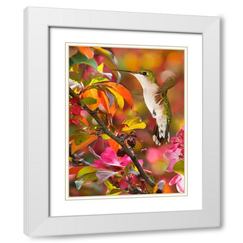 The Flower Dance XVII White Modern Wood Framed Art Print with Double Matting by Robertson, Leda