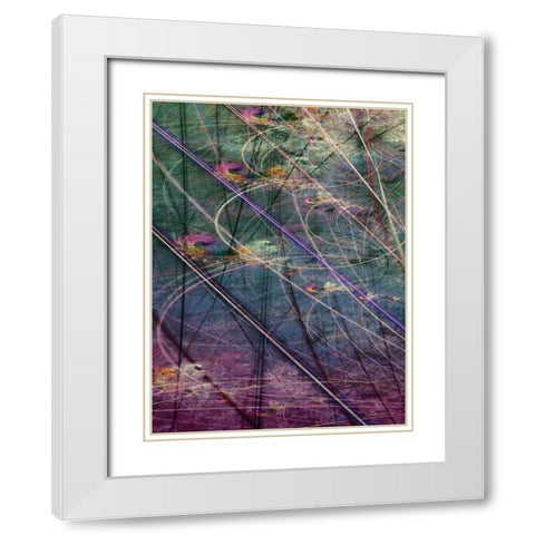 Wetlands Vector I White Modern Wood Framed Art Print with Double Matting by Burghardt, James