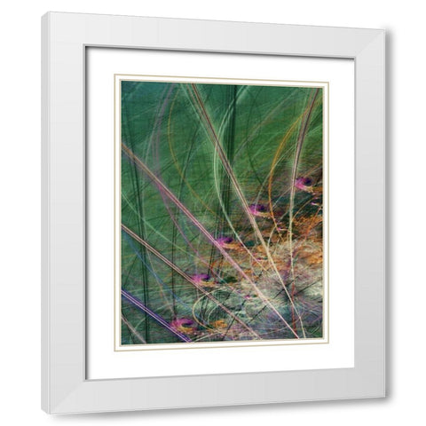 Wetland Vector II White Modern Wood Framed Art Print with Double Matting by Burghardt, James