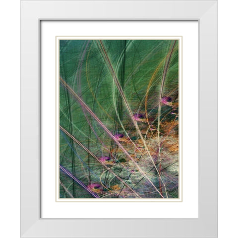 Wetland Vector II White Modern Wood Framed Art Print with Double Matting by Burghardt, James