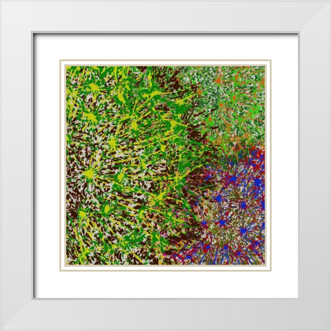 Profusion II White Modern Wood Framed Art Print with Double Matting by Burghardt, James