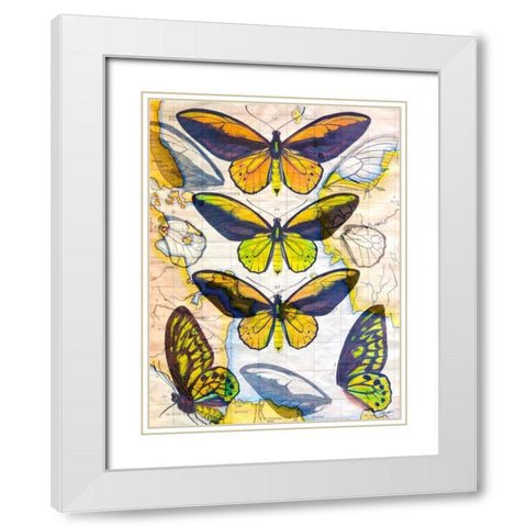 Butterfly Map I White Modern Wood Framed Art Print with Double Matting by Butler, John