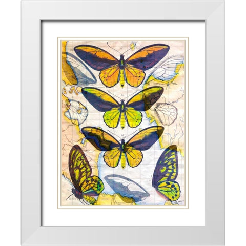 Butterfly Map I White Modern Wood Framed Art Print with Double Matting by Butler, John