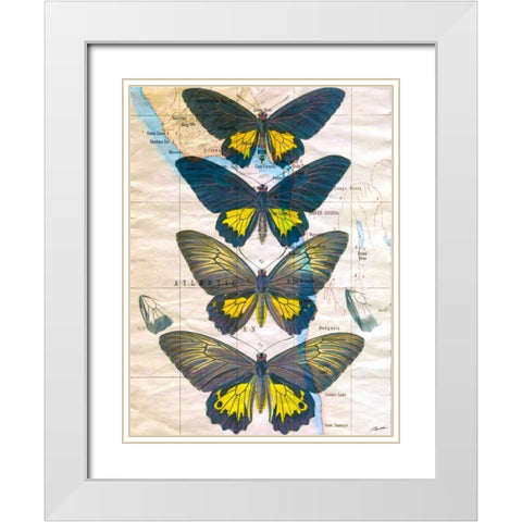 Butterfly Map II White Modern Wood Framed Art Print with Double Matting by Butler, John