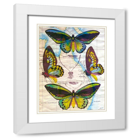 Butterfly Map III White Modern Wood Framed Art Print with Double Matting by Butler, John