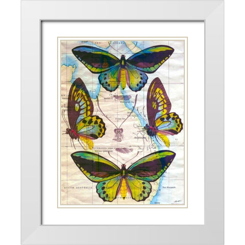 Butterfly Map III White Modern Wood Framed Art Print with Double Matting by Butler, John