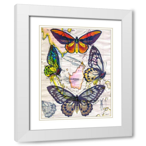 Butterfly Map IV White Modern Wood Framed Art Print with Double Matting by Butler, John