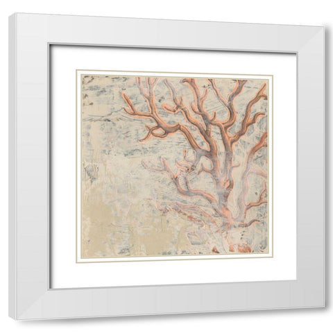 Coastal Cameo VI White Modern Wood Framed Art Print with Double Matting by Vess, June Erica
