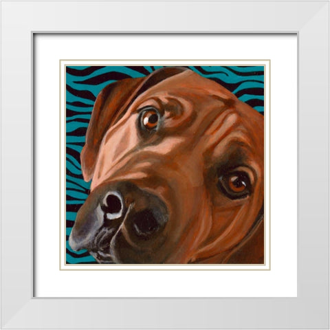 Dlynns Dogs - Bunsen White Modern Wood Framed Art Print with Double Matting by Roll, Dylnn