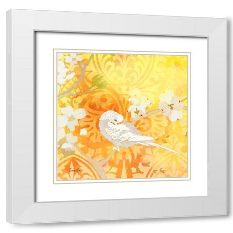 Budgie and Cartouche II White Modern Wood Framed Art Print with Double Matting by Evelia Designs