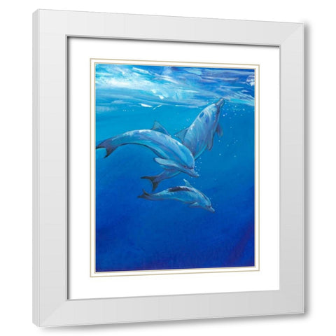 Under Sea Dolphins White Modern Wood Framed Art Print with Double Matting by OToole, Tim