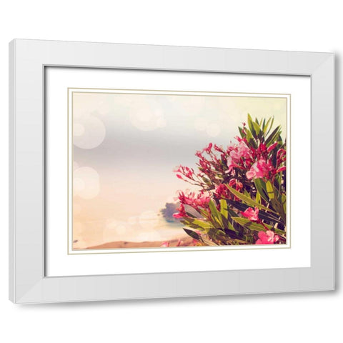 Flowers in Paradise II White Modern Wood Framed Art Print with Double Matting by Coomes, Sylvia