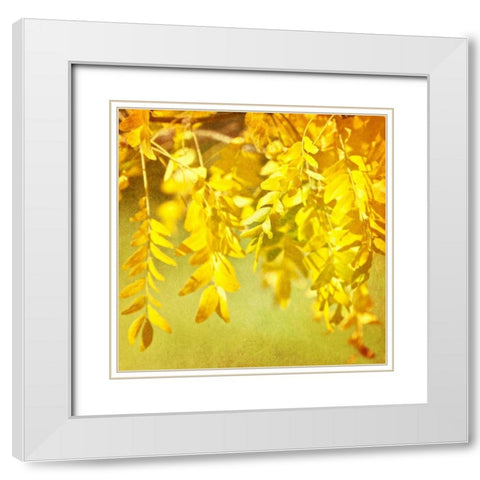 Autumn Photography I White Modern Wood Framed Art Print with Double Matting by Coomes, Sylvia