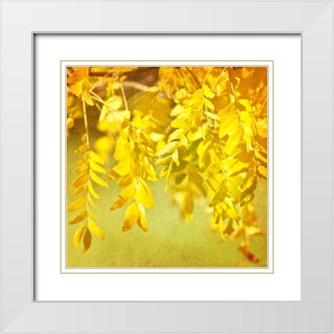 Autumn Photography I White Modern Wood Framed Art Print with Double Matting by Coomes, Sylvia