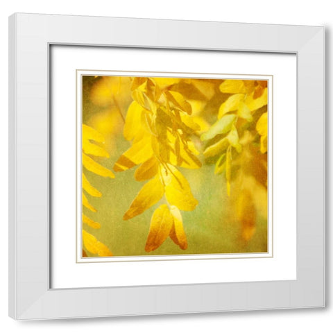 Autumn Photography II White Modern Wood Framed Art Print with Double Matting by Coomes, Sylvia