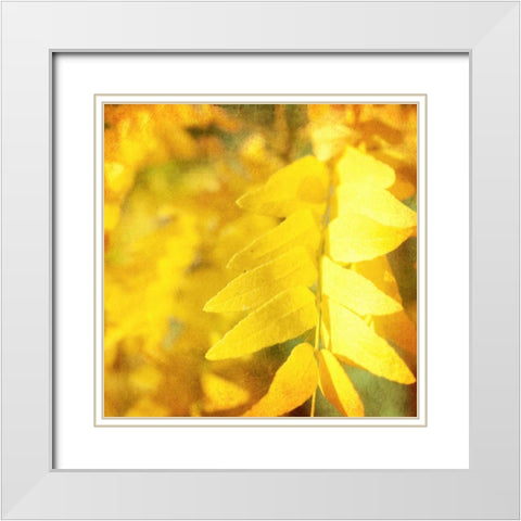 Autumn Photography III White Modern Wood Framed Art Print with Double Matting by Coomes, Sylvia