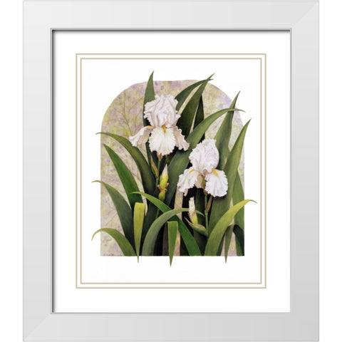 Iris Vignette White Modern Wood Framed Art Print with Double Matting by Matcham, Marcia