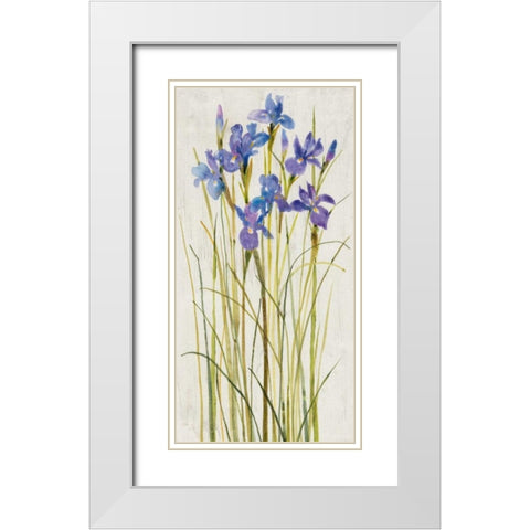 Iris Patch I White Modern Wood Framed Art Print with Double Matting by OToole, Tim