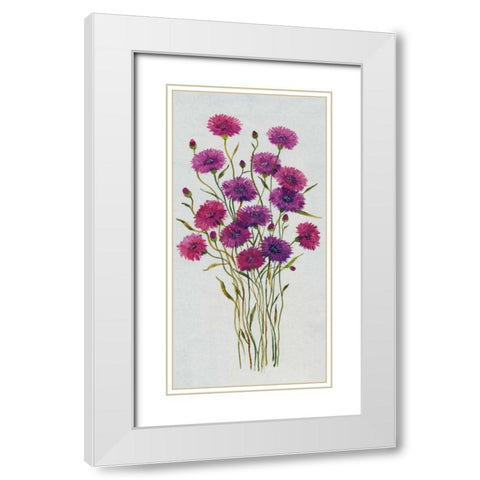 Cornflower Patch II White Modern Wood Framed Art Print with Double Matting by OToole, Tim